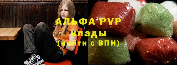 амф Козловка