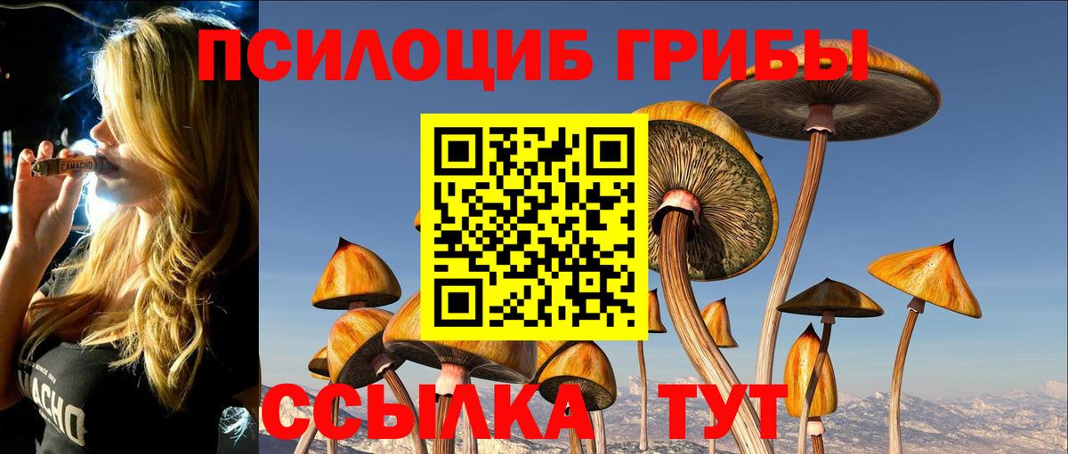 Галлюциногенные грибы мухоморы Нерюнгри