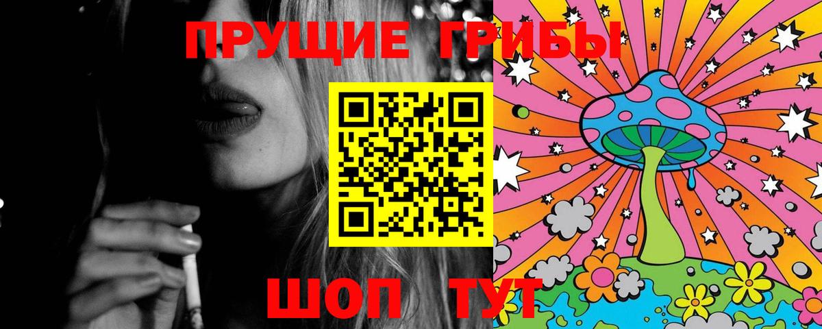 что такое наркотик  Нерюнгри  Псилоцибиновые грибы Psilocybine cubensis 