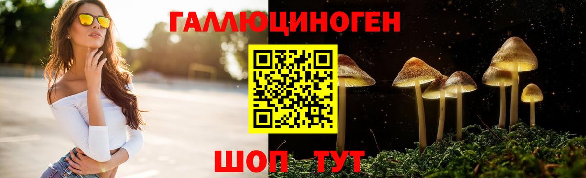 Псилоцибиновые грибы Magic Shrooms  Вход с VPN  Галлюциногенные грибы Psilocybine cubensis  Нерюнгри 